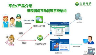 廣東省互聯(lián)網(wǎng)護(hù)理服務(wù)的信息服務(wù)開展路徑