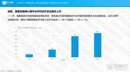 2019中國精神心理互聯(lián)網(wǎng)醫(yī)療服務(wù)行業(yè)白皮書 互聯(lián)網(wǎng)信息服務(wù)的創(chuàng)新與挑戰(zhàn)